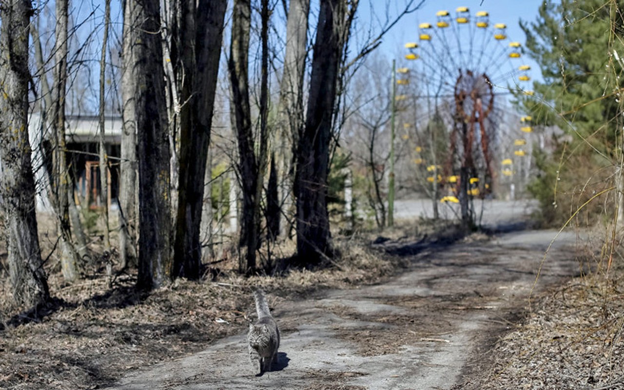 Cam giac kho ta o “Thi tran ma” Chernobyl 2016-Hinh-10